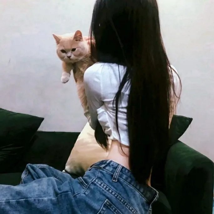 三只狼